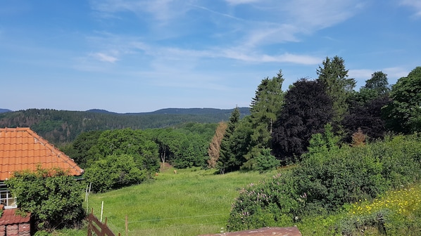 Eksteriør