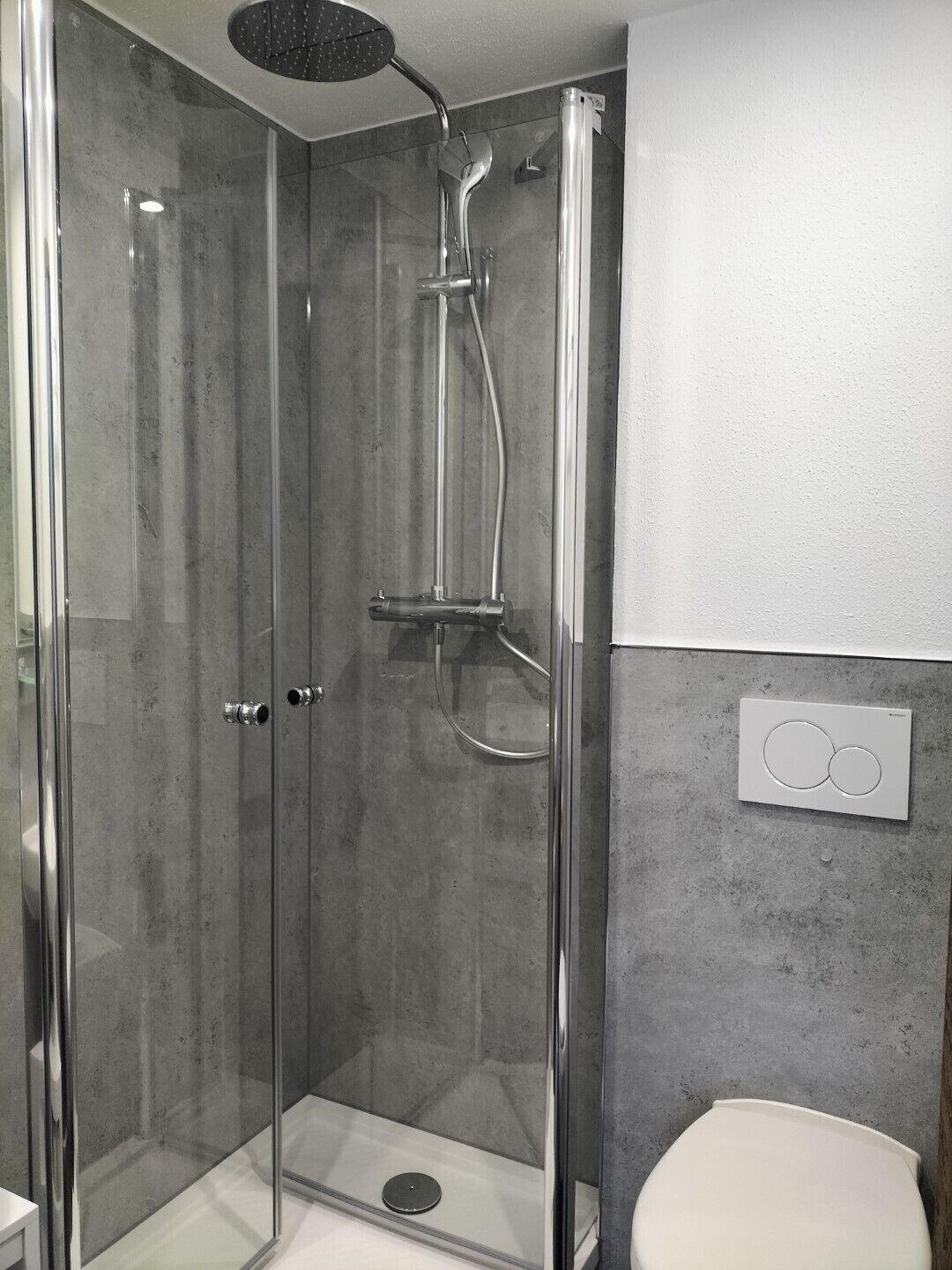 A glass-enclosed shower stall with a handheld showerhead, a wall-mounted control panel, and a toilet visible to the right.