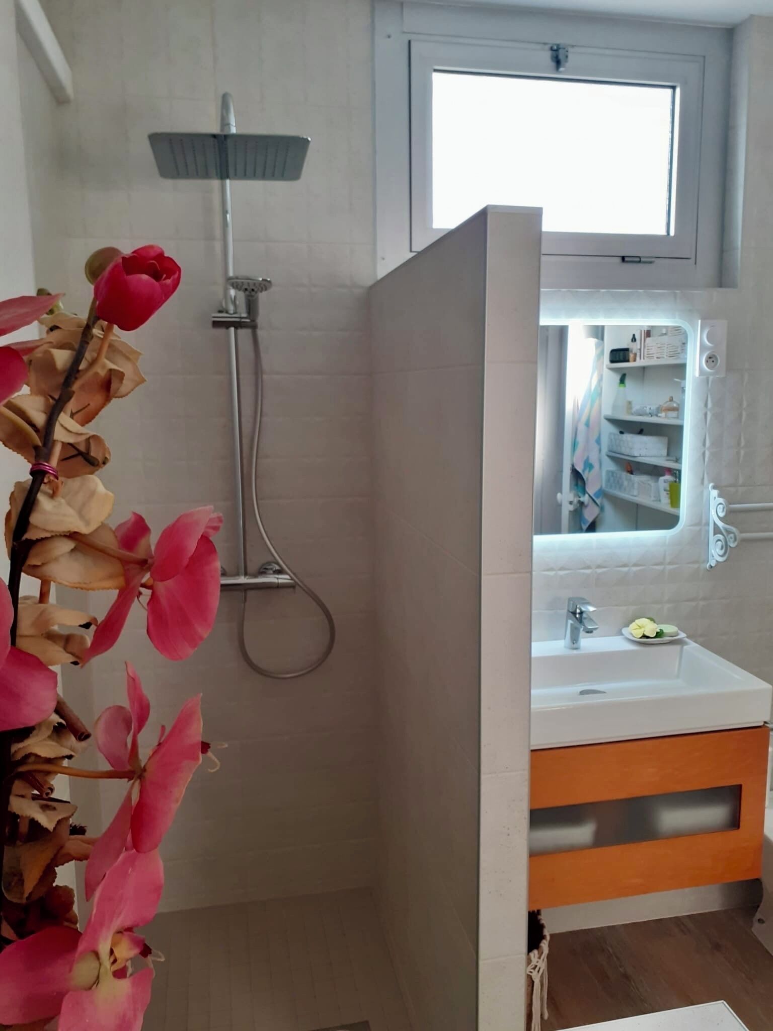 Shower, hair dryer