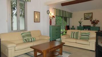 Télévision, cheminée