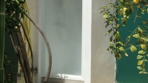 A narrow entrance to a building with a white door, a green wall, and a small tree with yellow fruits. - Charming town on 400m² of fully enclosed land (Elne)