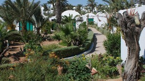 Um caminho no jardim leva a edifícios brancos com cúpulas e portas verdes, cercados por palmeiras e diversas plantas.