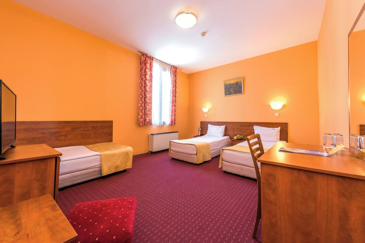 Habitación de hotel con dos camas individuales, un escritorio, una silla, un televisor y una ventana con cortinas.