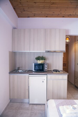Deluxe Studio, Mountain View | Private kitchenette | Fridge, stovetop, cookware/dishes/utensils - Nontas Home (Lefkada)