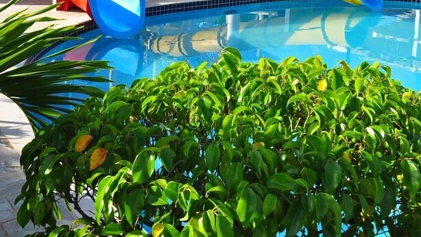 A water park with multiple slides and a pool. - Hotel Diroma Fiore. (caldas novas)