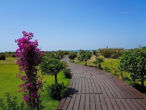 A wooden pathway leading to a beach area with a clear sky. - Sikania Eco Resort (Butera)
