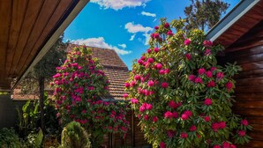 A wooden house with a garden featuring pink flowering plants and a clear blue sky.