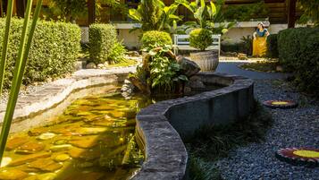 A garden with a pond, stone pathway, and potted plants.