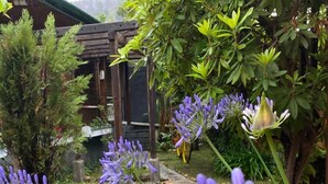 A wooden cabin with a garden area featuring various plants and flowers.