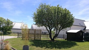 Un jardin à l’arrière d’une maison, avec un arbre, une clôture en bois et une maison dont le toit est en pente.