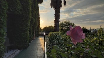 Jardines del alojamiento