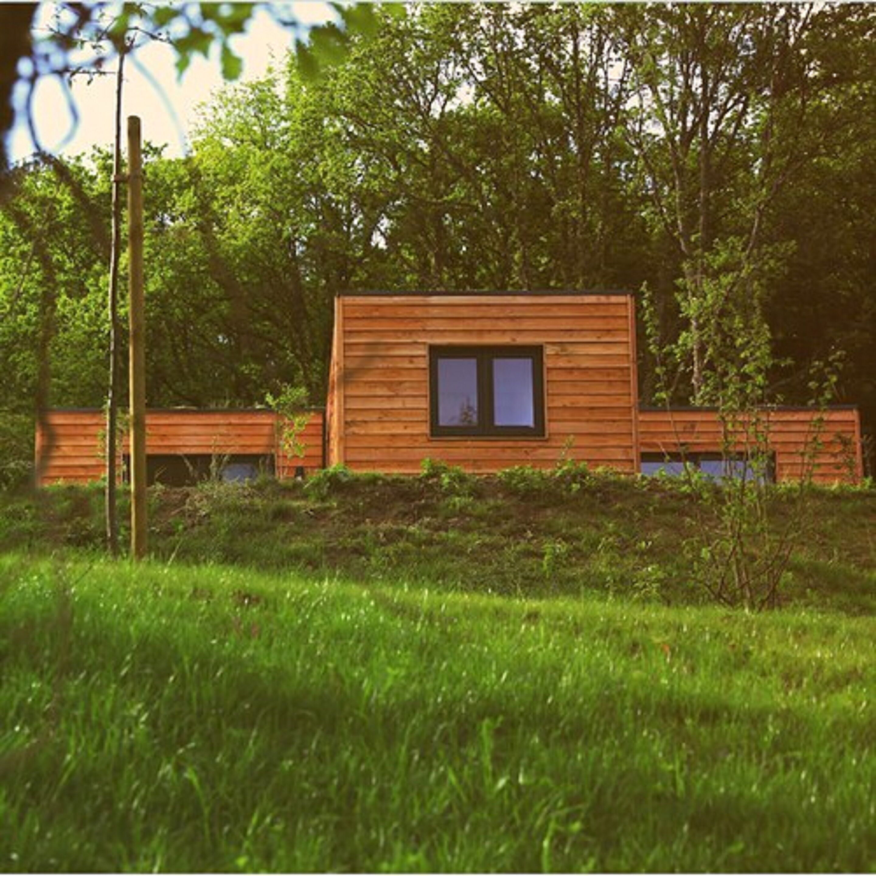 Une cabane en bois dotée d’une fenêtre, entourée d’une végétation luxuriante.