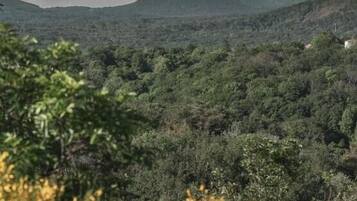 A mountainous landscape with dense forest.