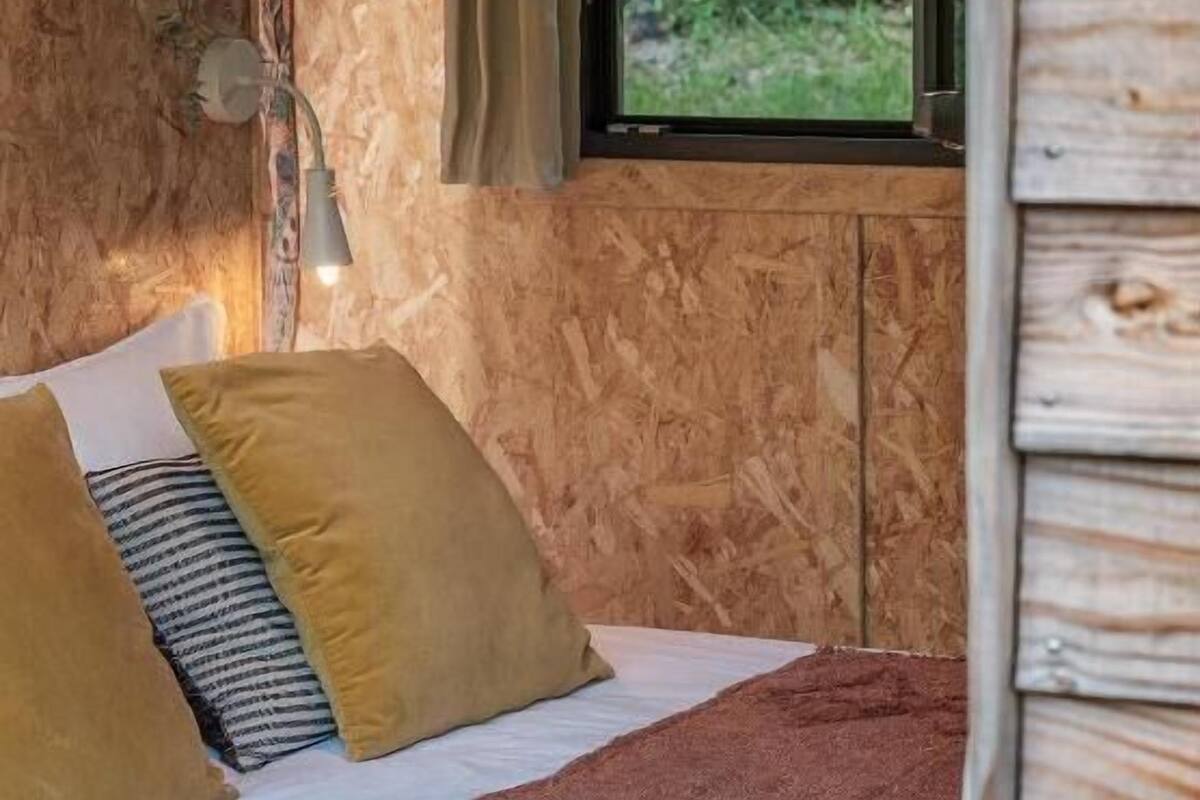 individually decorated, individually furnished, desk, blackout curtains