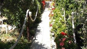 A paved garden pathway flanked by lush greenery and flowering plants. - Imperial Studios (Malevizi)