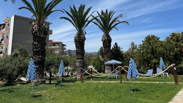 A sunny outdoor area with palm trees, a stone wall, and a pathway leading to a building with balconies. - Imperial Studios (Malevizi)