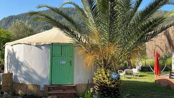 Outdoor pool, open 9:00 AM to 7:00 PM, pool umbrellas, sun loungers