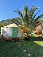 Un pequeño edificio de una sola planta con una puerta verde, rodeado de abundante vegetación y una palmera.