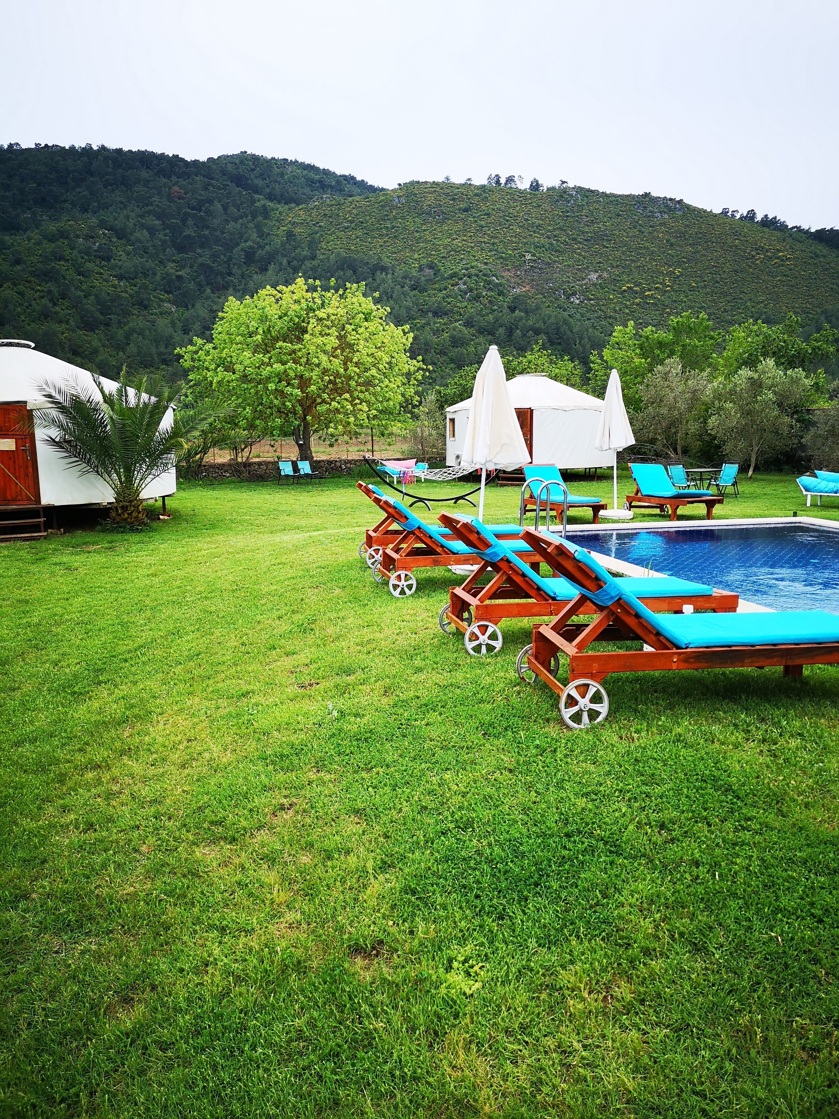 A pool area with lounge chairs and a tent, surrounded by a grassy lawn and trees, with a mountain in the background.