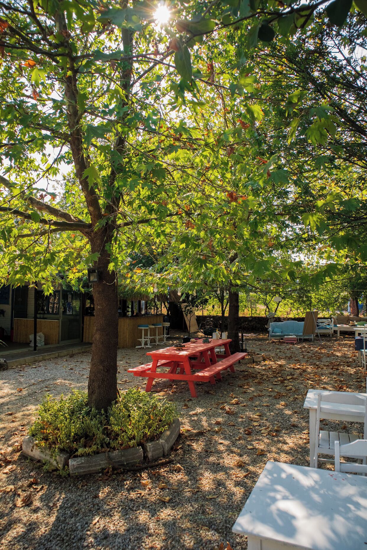 An outdoor seating area with a red picnic table and benches, surrounded by trees and a gravel ground.