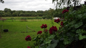 Een landelijk landschap met een veld, een hek en een gebouw in de verte.