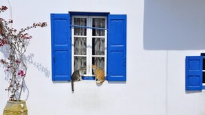 Front of property - Cavo Mykonos Apartments (Mykonos)