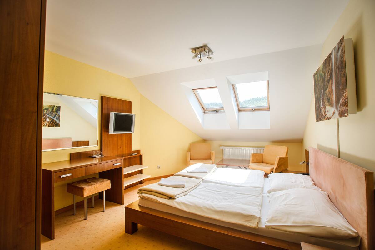 A bedroom with a bed, a desk, a chair, a TV, and two skylights.