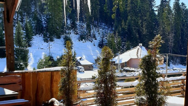 An outdoor wooden deck with potted Christmas trees and icicles hanging from the ceiling. - Apartmány Mlynky (Mlynky)