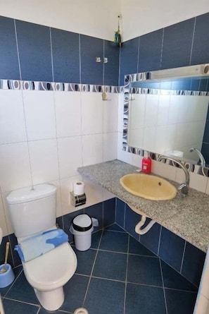 A bathroom with a toilet, sink, and mirror.