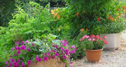 La Grangette : slow tourisme en Périgord