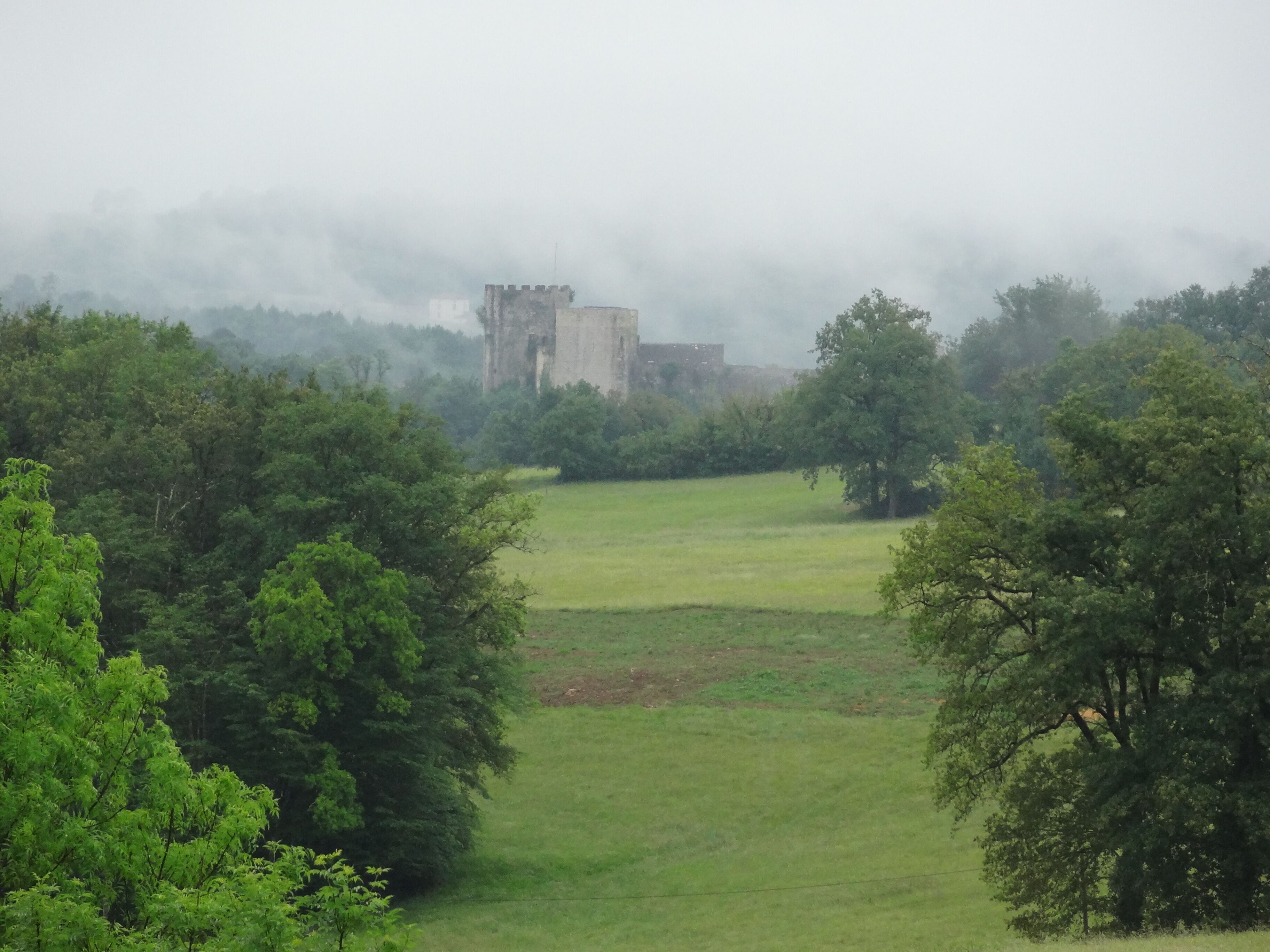 A castle surrounded by lush green trees and fields.