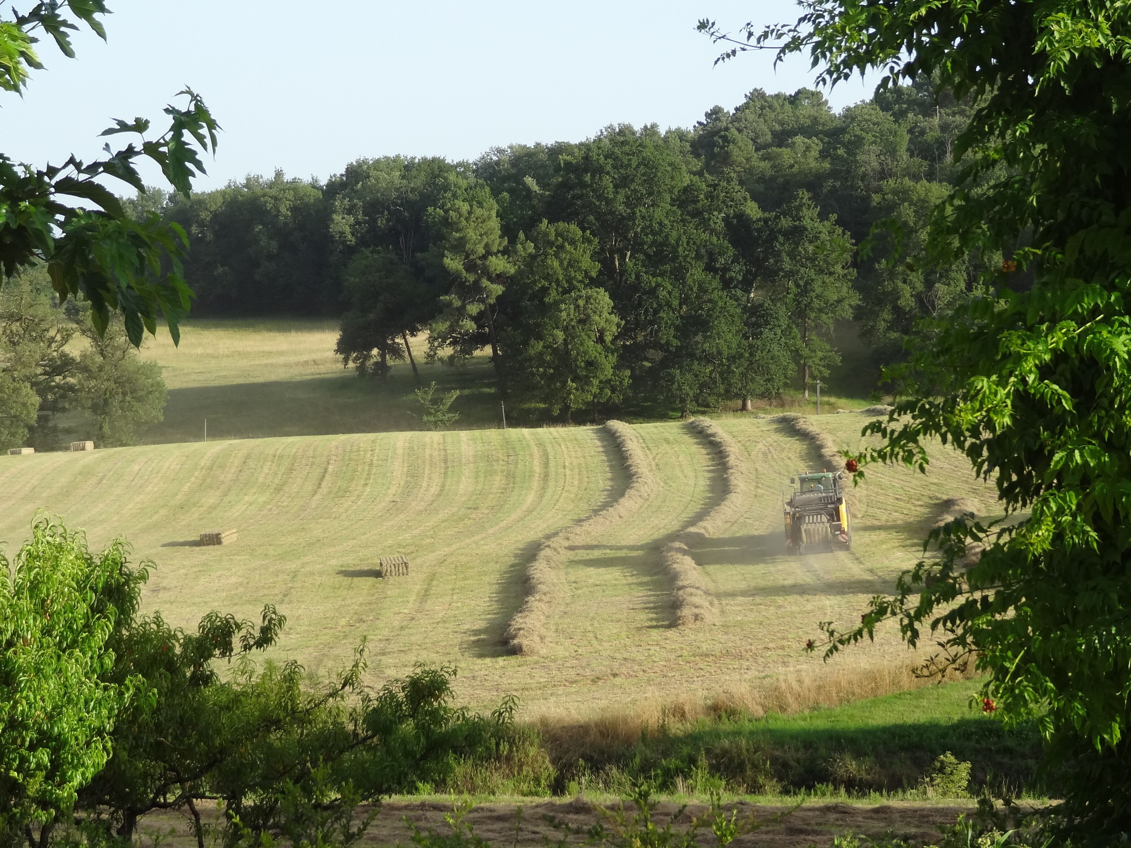 A rural landscape with rolling fields, a tractor, and dense trees in the background.