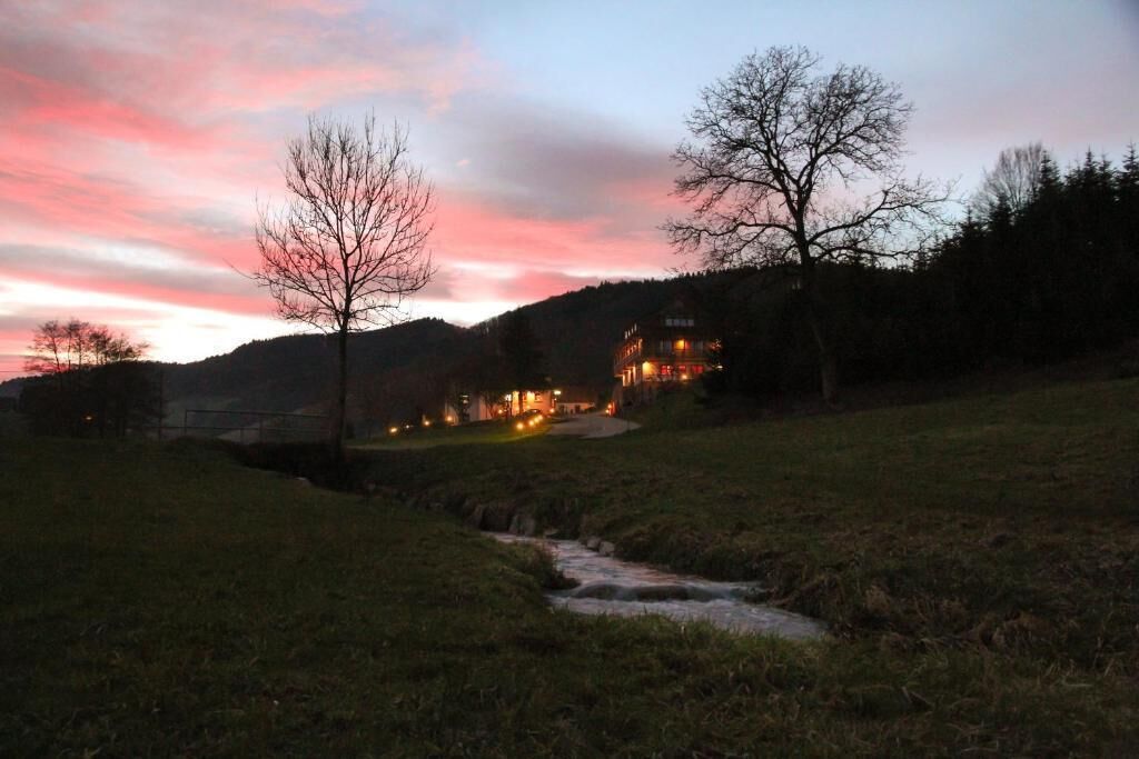 Vue d’un bâtiment au bord de la rivière, avec une façade illuminée, entouré d’arbres et de collines.