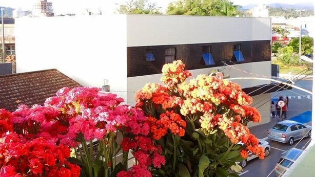 A building with a modern design, featuring a flat roof and large windows. In the foreground, there are vibrant flowers in pots. - Hotel Oriente (Itajuba)