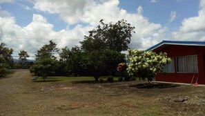 Property grounds - Cabinas El Tropico (San Rafael de Guatuso)