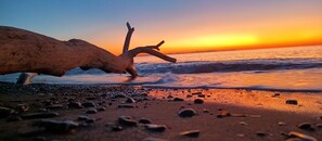 Private beach nearby, beach bar - Residence le Rose (Bibbona)