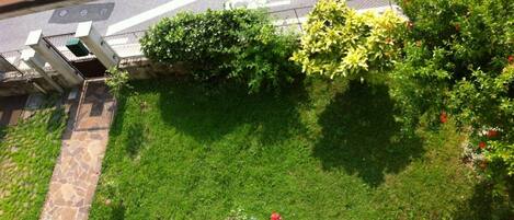 Área da propriedade