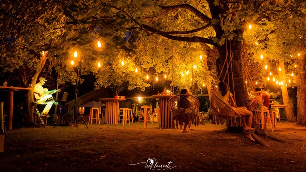 A tree with string lights, a guitar player, and people sitting on chairs and a hammock.