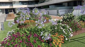 Área da propriedade