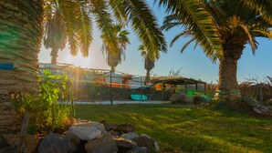 A coastal resort with palm trees, a stone wall, and a covered area with surfboards. - Twin Fin Surf Camp - Hostel (Adeje)