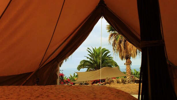 A tent with a view of the beach and palm trees. - Twin Fin Surf Camp - Hostel (Adeje)