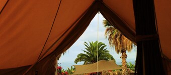 Twin Fin Surf Camp - Hostel