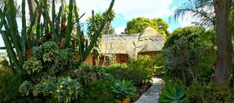 Amazing Executive Deluxe 2