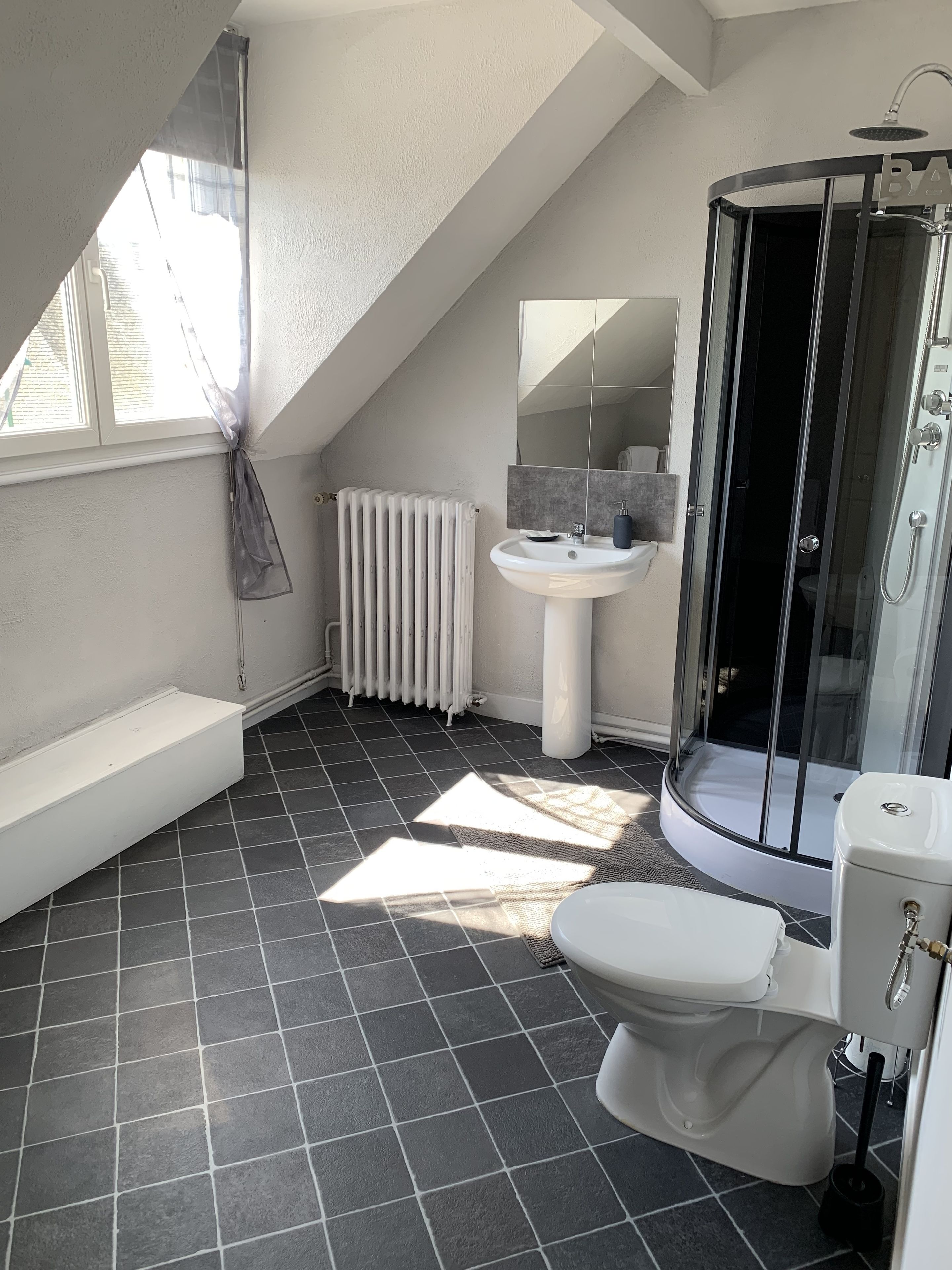 A modern bathroom with a shower, toilet, and sink.