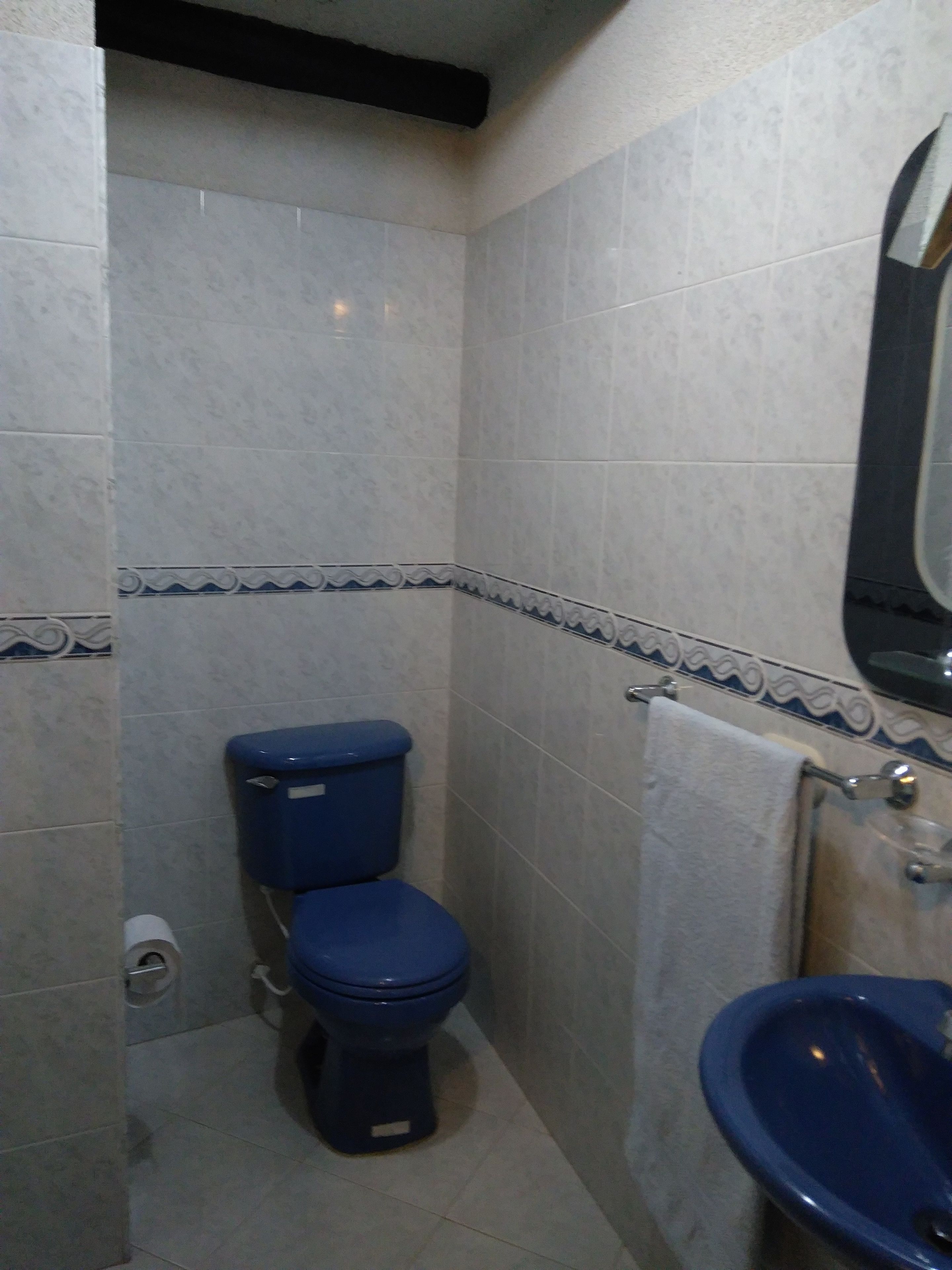 Ein Badezimmer mit Toilette und Waschbecken, beide in Blau, sowie blau geflieste Wände mit dekorativer Bordüre.