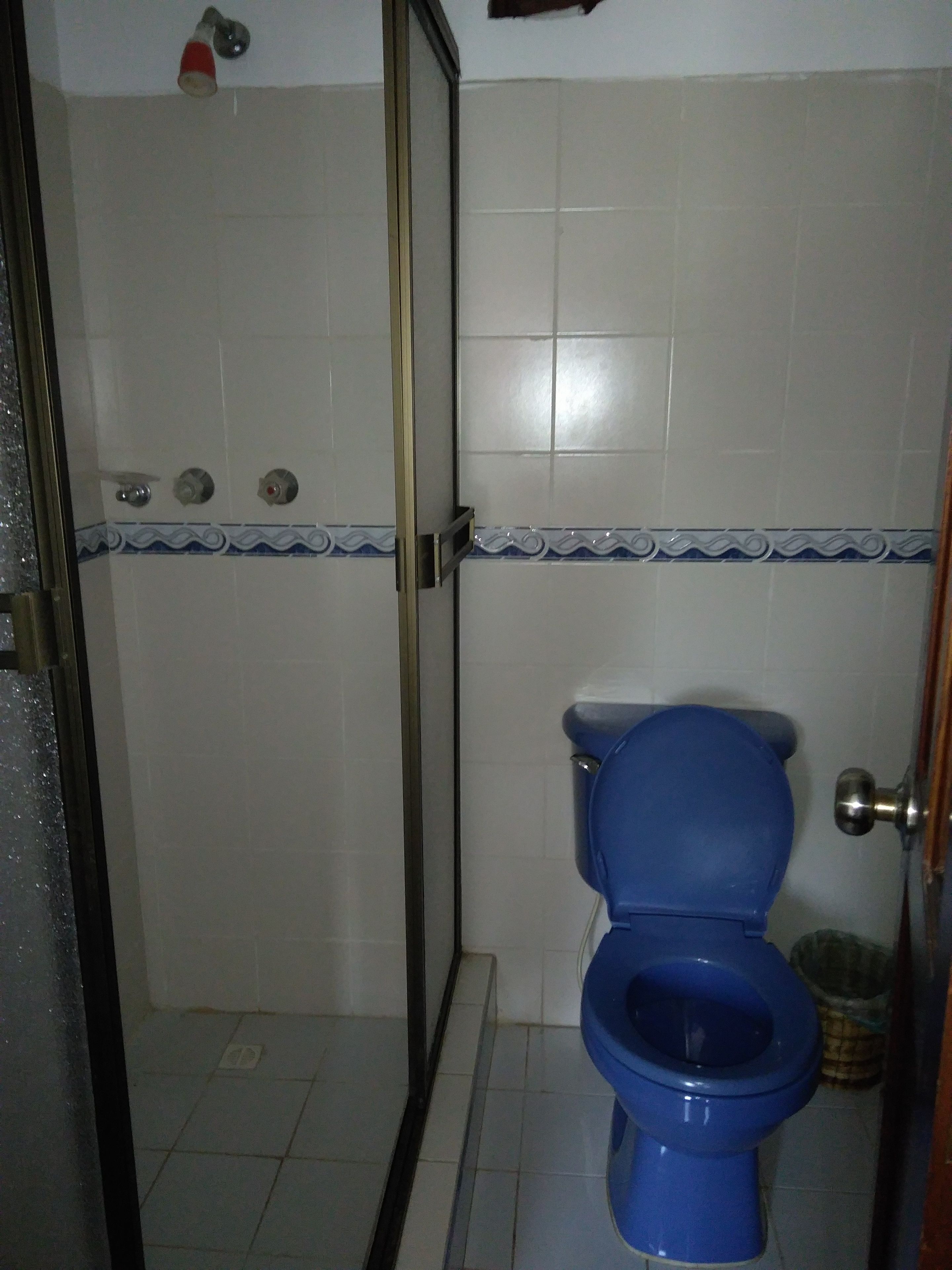 A bathroom with a blue toilet, a shower with a glass door, and white tiled walls with blue decorative borders.