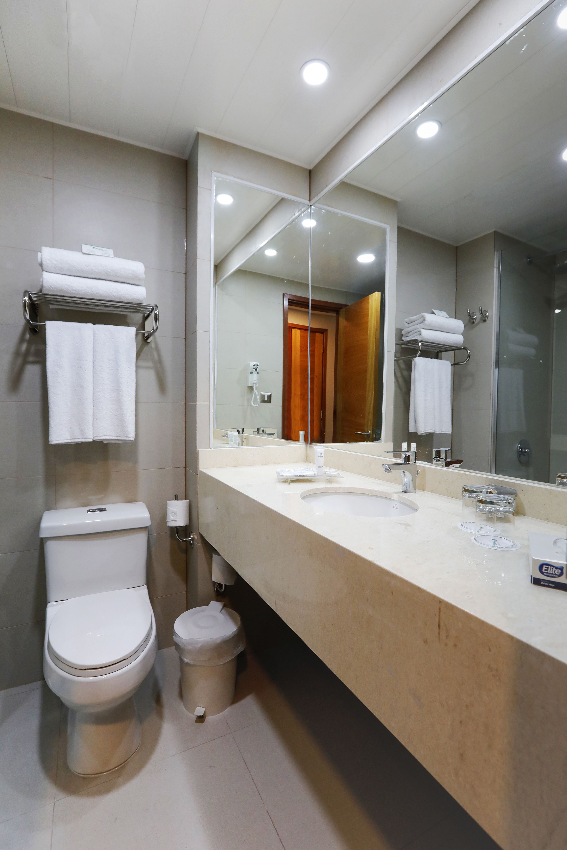 combined shower/bathtub, free toiletries, hair dryer, towels