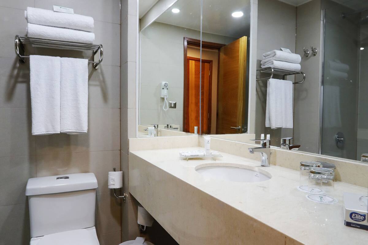 combined shower/bathtub, free toiletries, hair dryer, towels