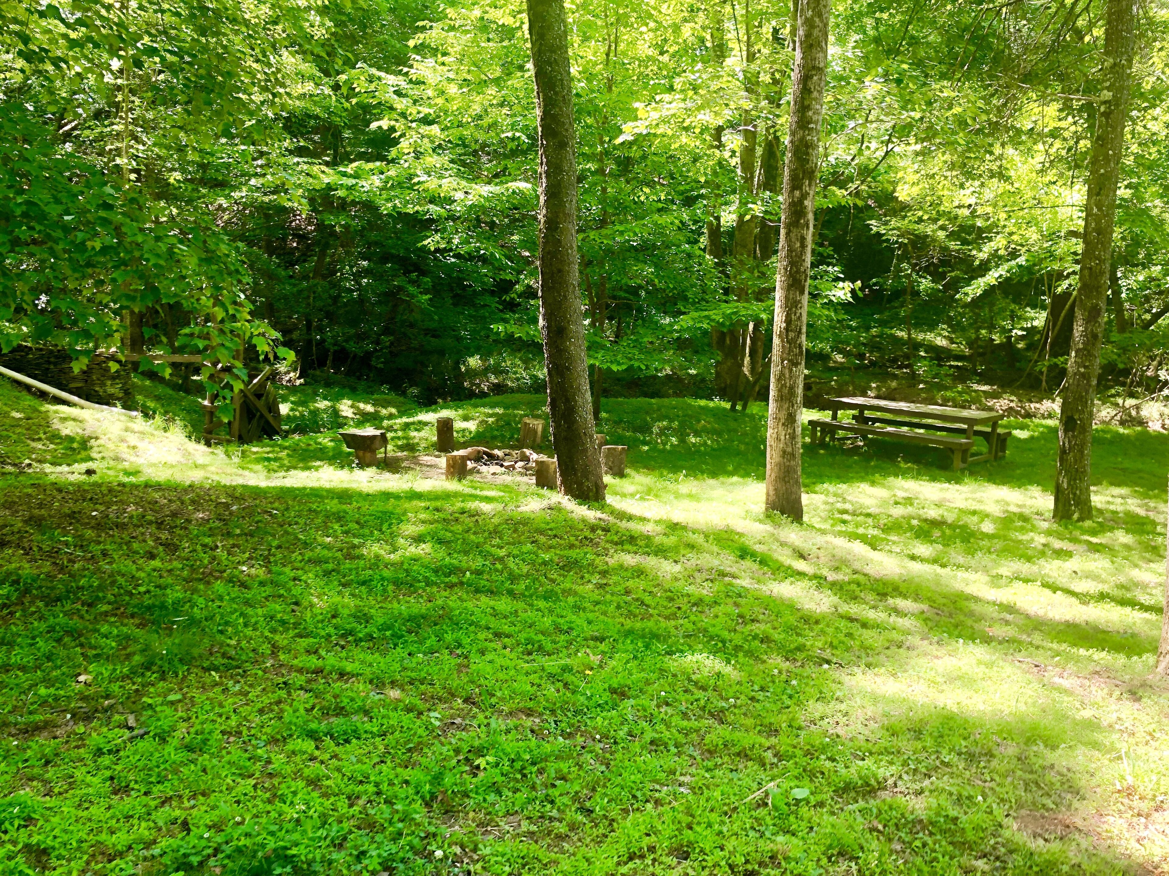 A forested area with a picnic table and benches.