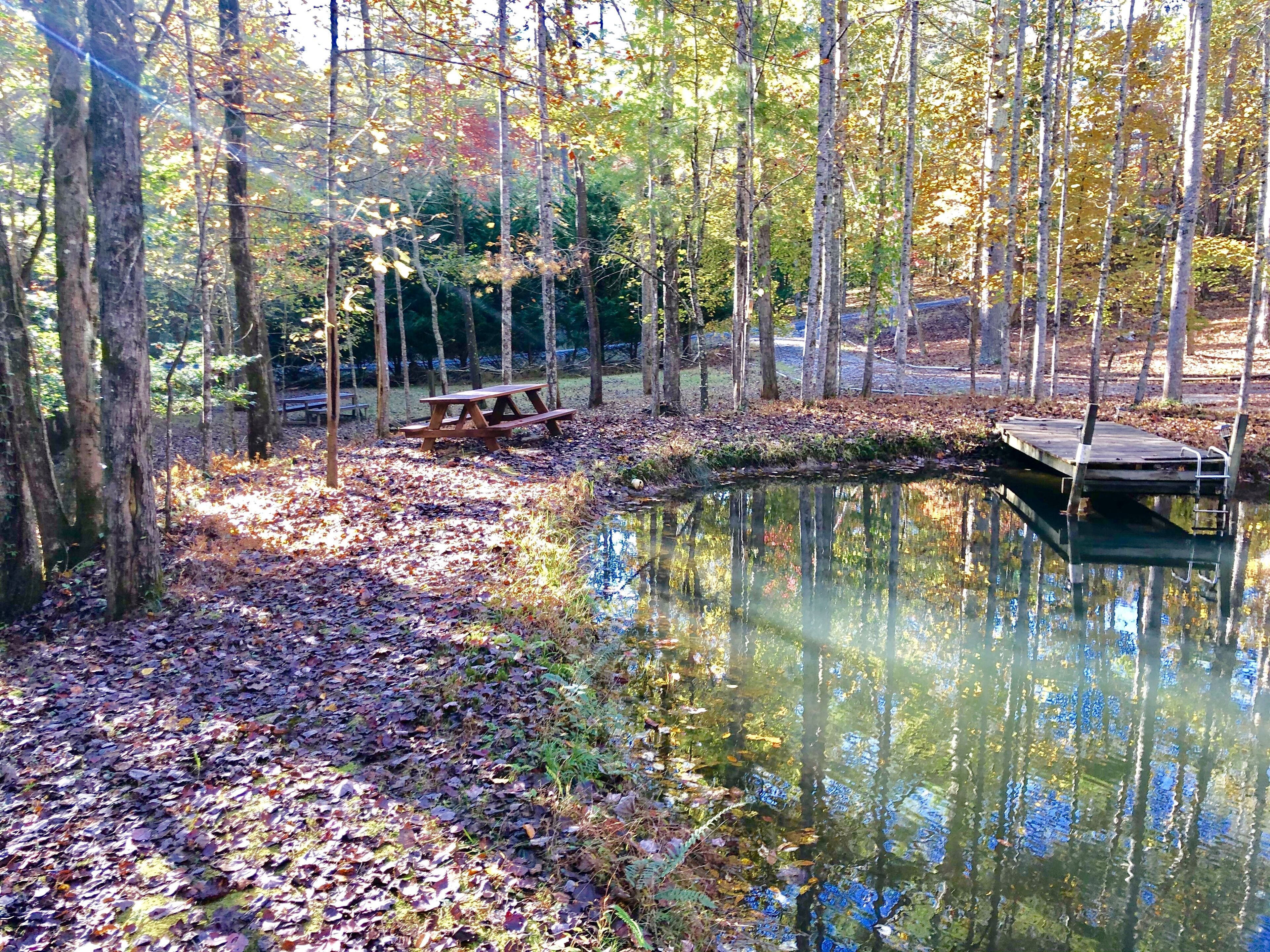Un parc paisible avec une table de pique-nique et une jetée surplombant un étang tranquille, le tout entouré d’arbres et de feuilles mortes.